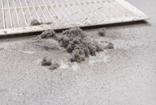 Best HVAC System Cleaning  in Cascades, VA