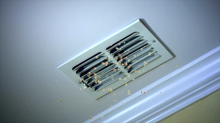 Best Affordable Air Duct Cleaning  in Cascades, VA